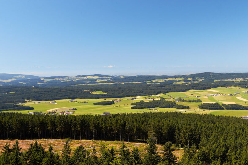 Sanfte Hügel mit abwechselnd Wald und offenen Feldern.