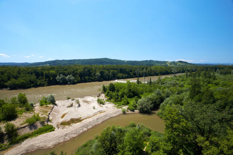 Verzweigter Fluss mit sandigen Uferbereichen und dichter Vegetation.
