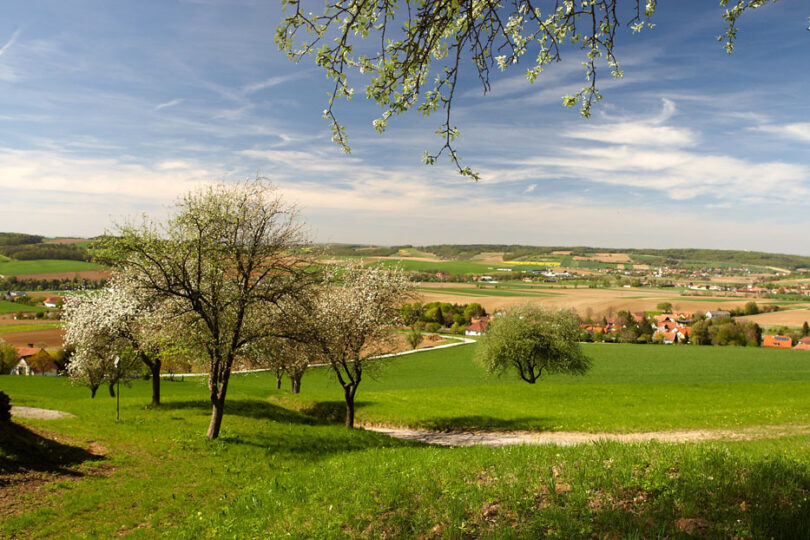 Feld mit Bäumen am Rand einer Ortschaft, neben einer Straße.