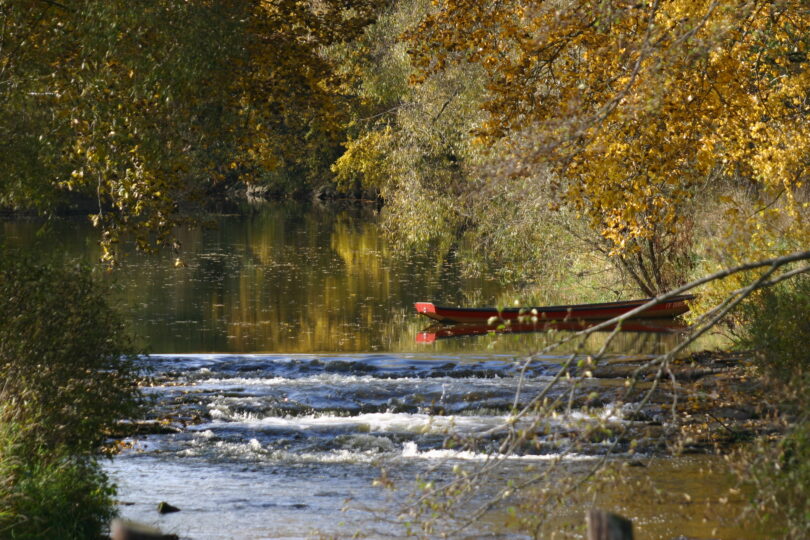 Herbstliche Flusslandschaft mit ruhigem Wasser, buntem Laub und rotem Boot am Ufer neben sanften Stromschnellen.