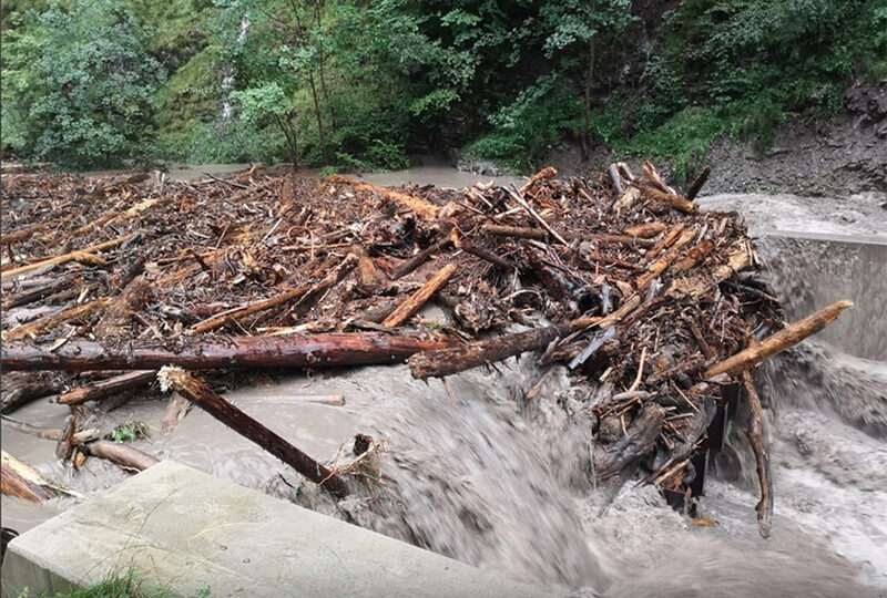 Fluss mit vielen abgetragenen Baumstämmen in Bewegung.