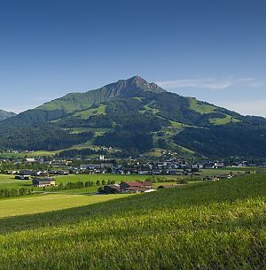Blick über grüne Wiesen auf eine Ortschaft am Fuß eines bewaldeten Berges unter klarem, blauem Himmel.