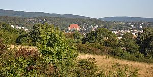 Blick über Wiesen und Bäume auf eine Stadt mit markanter Kirche und bewaldeten Hügeln im Hintergrund.