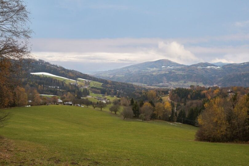 Grüne Wiese mit Bäumen, dahinter Berge unter klarem, blauem Himmel.