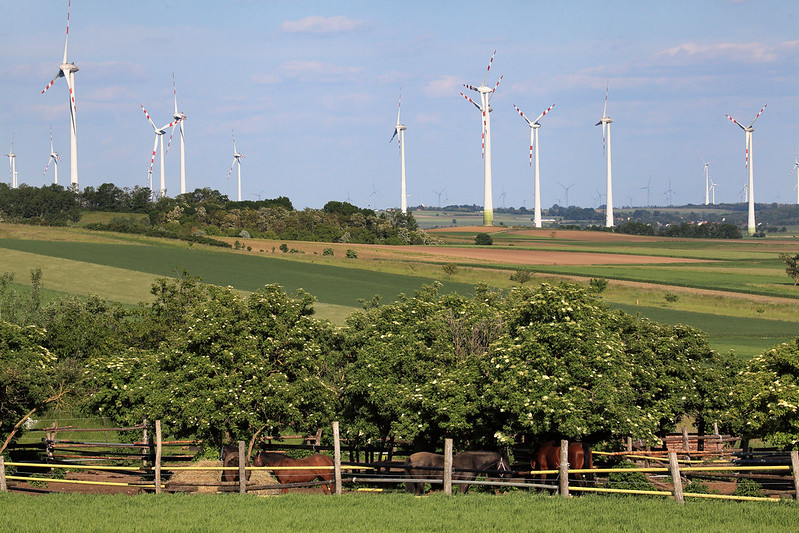 Offene Felder mit Windrädern und weidenden Pferden.