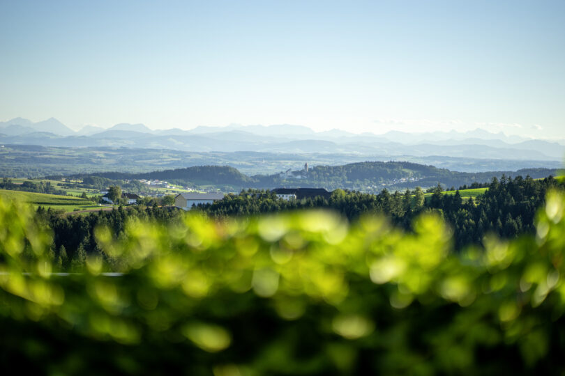 Blick in eine Weite Hügellandschaft mit vielen Wiesen und Wäldern.