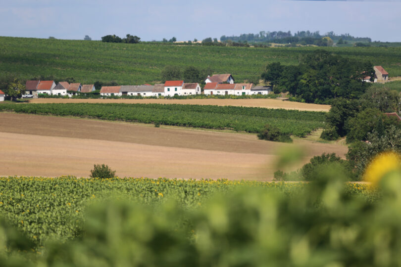 Blick auf ein kleines Dorf mit weißen Häusern, umgeben von Feldern, Wiesen und Weinbergen.