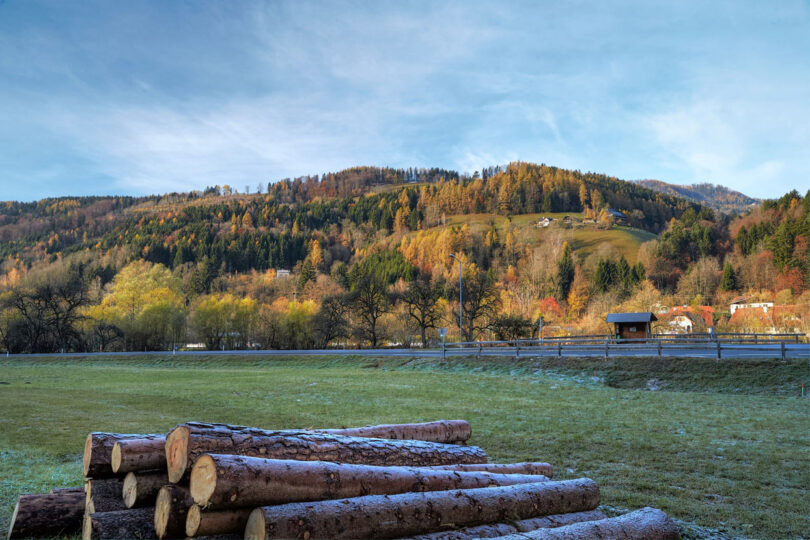 Blick auf herbstlich gefärbte Hügel mit vereinzelten Häusern, Wiese im Vordergrund und gestapeltem Holz.