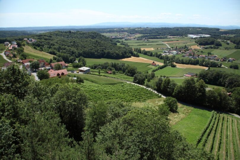Weinreben an Hängen mit verstreuten Häusern in hügeliger Landschaft.