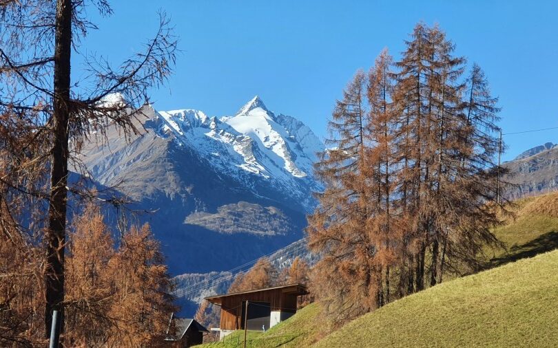 Grüne Wiese mit einzelnen Bäumen, dahinter ein Bergmassiv.