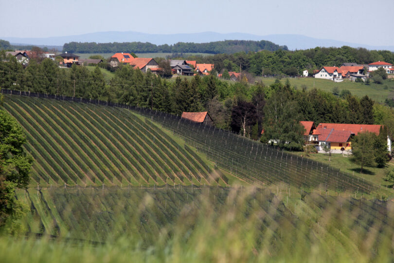 Hügelige Landschaft mit gepflegten Obstplantagen, roten Ziegeldächern und Wald im Hintergrund.