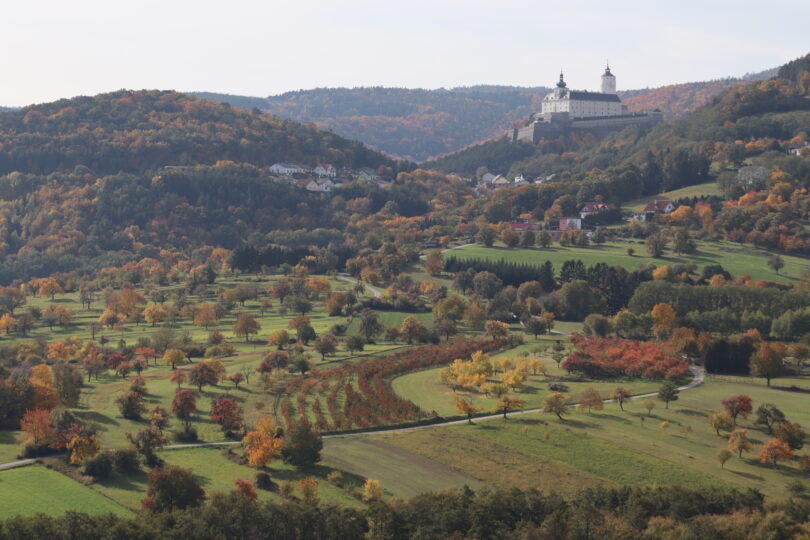 Herbstliche Hügellandschaft mit buntem Laub, Streuobstwiesen und einer Burg auf einem bewaldeten Hügel.