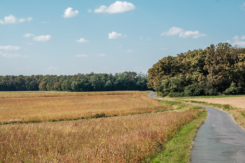 Landschaft mit Feldern und Wald entlang einer Straße.