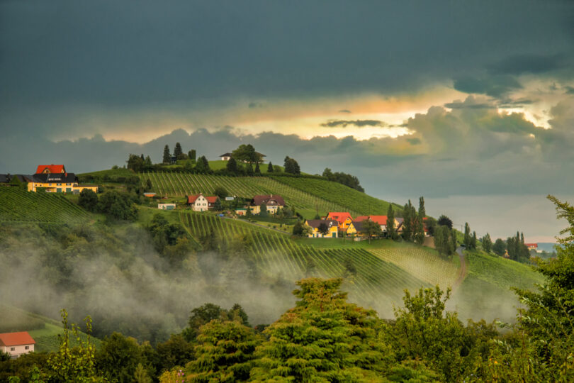 Weinberge im Abendlicht mit Nebelschwaden, Hügelhäusern und dramatischem Himmel kurz vor einem Gewitter.