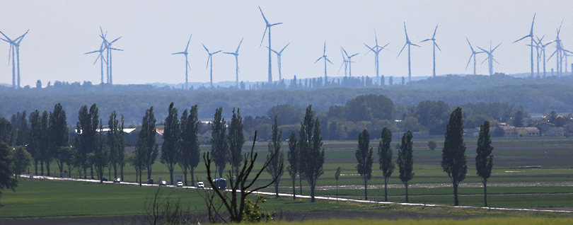 Landstraße gesäumt von Bäumen, durch Felder, mit Windrädern am Horizont.