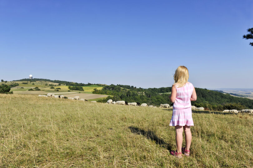 Mädchen im rosa Kleid steht auf Wiese und blickt auf eine Schafherde in hügeliger Sommerlandschaft.