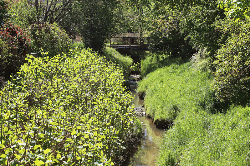 Kleiner Bach engebettet zwischen Wiese und Bäumen. Kleine Holzbrücke im Hintergrund.