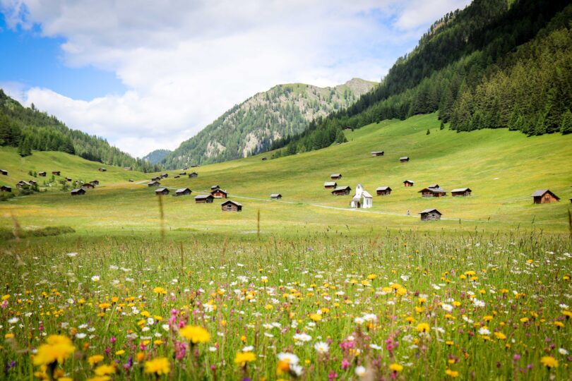 Blühende Almwiese in einem sonnigen Hochtal, umgeben von bewaldeten Berghängen mit verstreuten Holzhütten und einer kleinen weißen Kapelle.