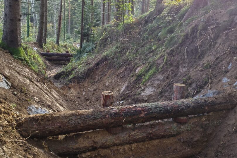 Ein schmaler Graben im Wald mit mehreren Holzstämmen, die als Barriere quer über den Graben liegen. Umgeben von hohen Bäumen und frischem Grün.
