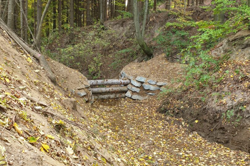 Kleines Rückhaltebecken im Wald mit Laub bedeckt.