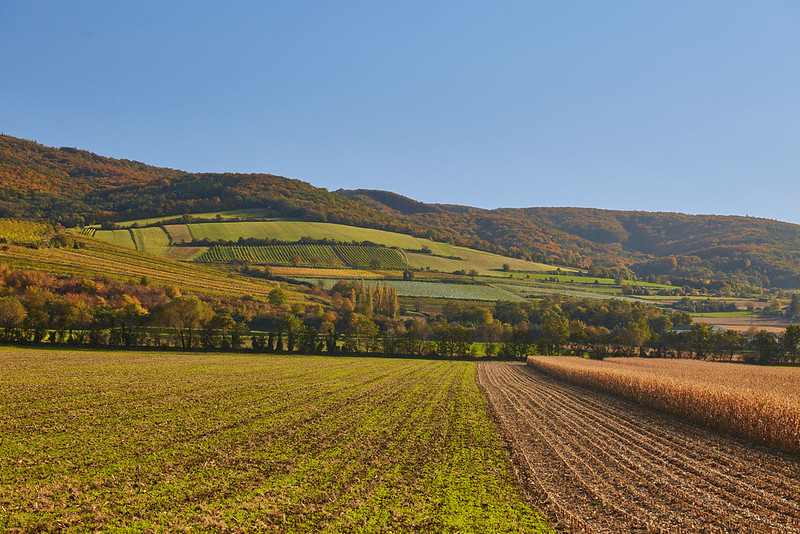 Landschaft mit Feldern und Hügeln unter blauem Himmel.