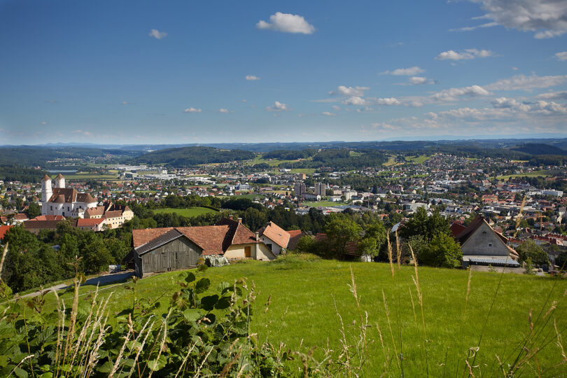 Blick auf eine Stadt mit grünen Wiesen im Vordergrund, Häuser mit roten Dächern, und einer weitläufigen Landschaft im Hintergrund unter blauem Himmel.