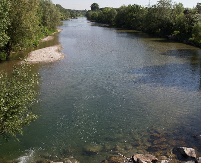 Ein breiter, ruhiger Fluss schlängelt sich durch eine grüne Auenlandschaft mit dichtem Baumbewuchs an beiden Ufern. Im Vordergrund ist eine kleine Steinbarriere im Wasser zu sehen, über die das Wasser sanft abfließt. Der Himmel ist klar und blau, ein Strommast am rechten Bildrand weist auf nahe Infrastruktur hin.