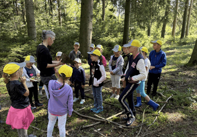 Gruppe von Kindern mit gelben Mützen steht im Wald um eine erwachsene Person, die etwas in der Hand hält.