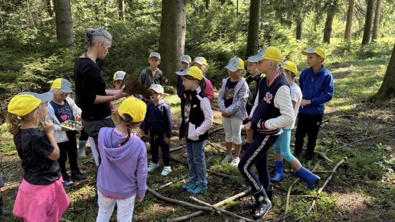 Kinder beim Programm im Wald