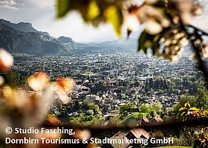 Blick auf Dornbirn durch die Äste eines Baums.