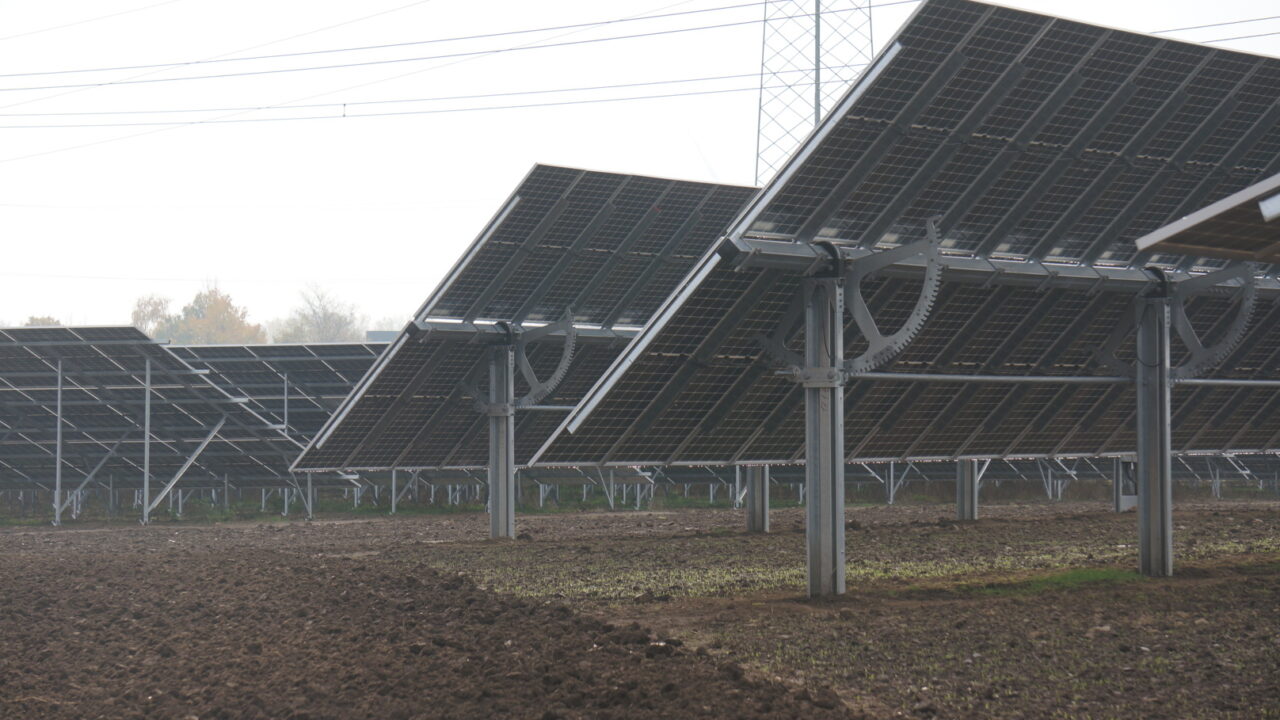 Solarpanele stehen auf einem Feld.