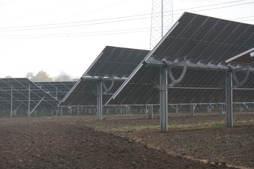 Solarpanele stehen auf einem Feld.