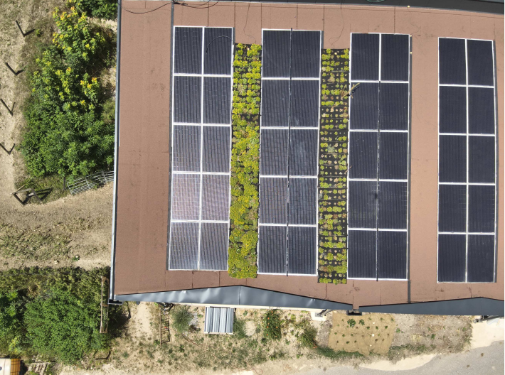 Vogelperspektive auf ein Flachdach mit Solarmodulen, zwischen denen Abschnitte mit begrünten Flächen zu sehen sind. Das Dach ist von Grünflächen und Wegen umgeben, die auf eine nachhaltige und umweltfreundliche Gestaltung hinweisen.