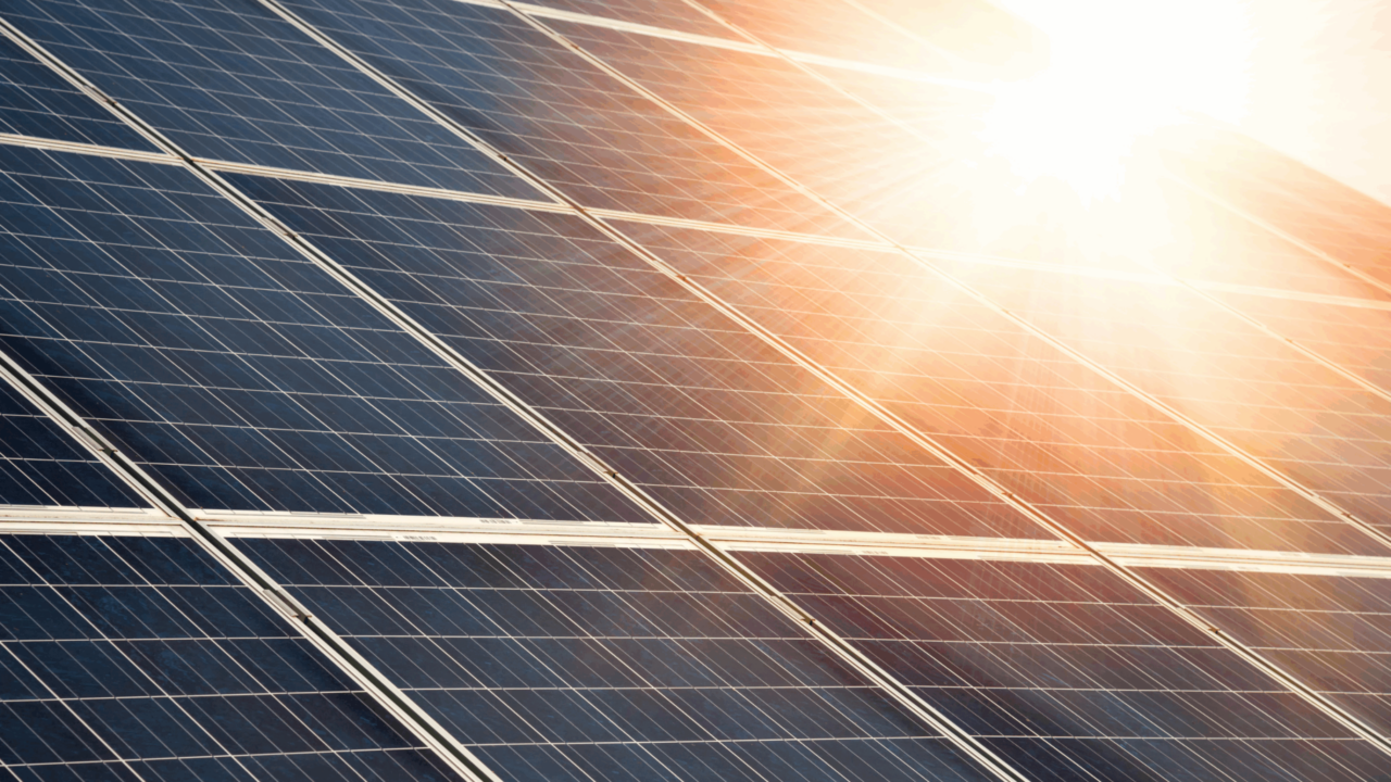 Es sind Solarpanele zu sehen. Die Sonne scheint im rechten oberen Eck des Bildes darauf.