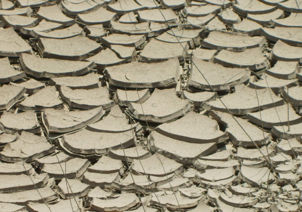 Man sieht trockene Erde.