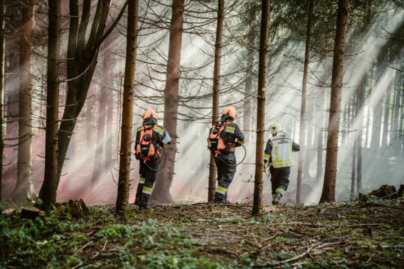 Feuerwehr im Wald