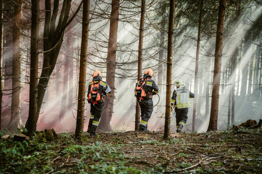 Feuerwehr im Wald