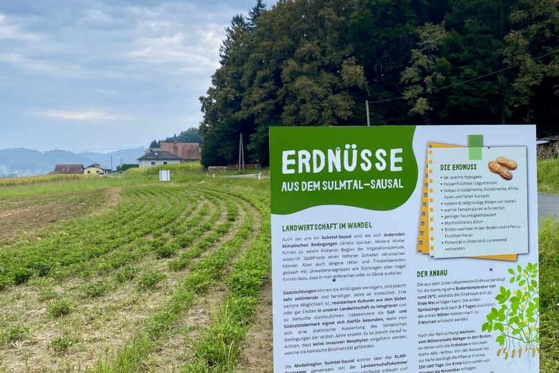 Infotafel auf Feld